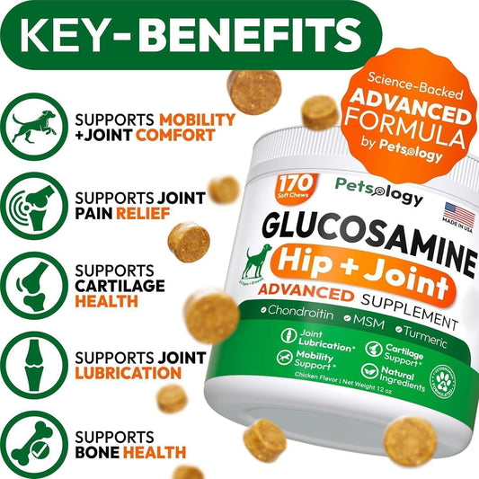 Wander & Wake™ Hip & Joint Support Soft Chews for Dogs | Glucosamine Supplement - Wander & Wake