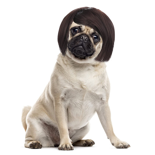 Wander & Wake™ Funny Pet Wig | Adjustable Costume Wig for Dogs - Wander & Wake