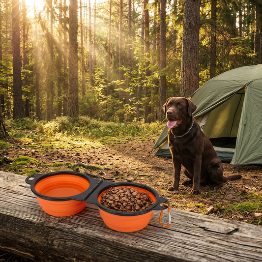 Wander-Wake-{{product_title}}-{{image_position}}