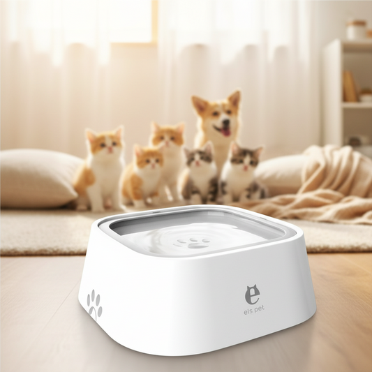 Wander & Wake Pet Water and Food Bowl - Wander & Wake