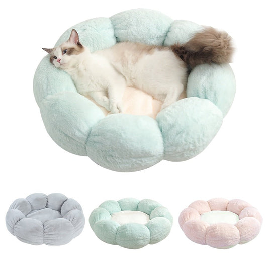 Wander-Wake-{{product_title}}-{{image_position}}
