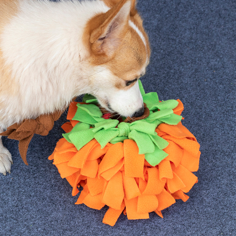 Pumpkin Snuffle Ball - Fleece Puzzle Toy for Dogs