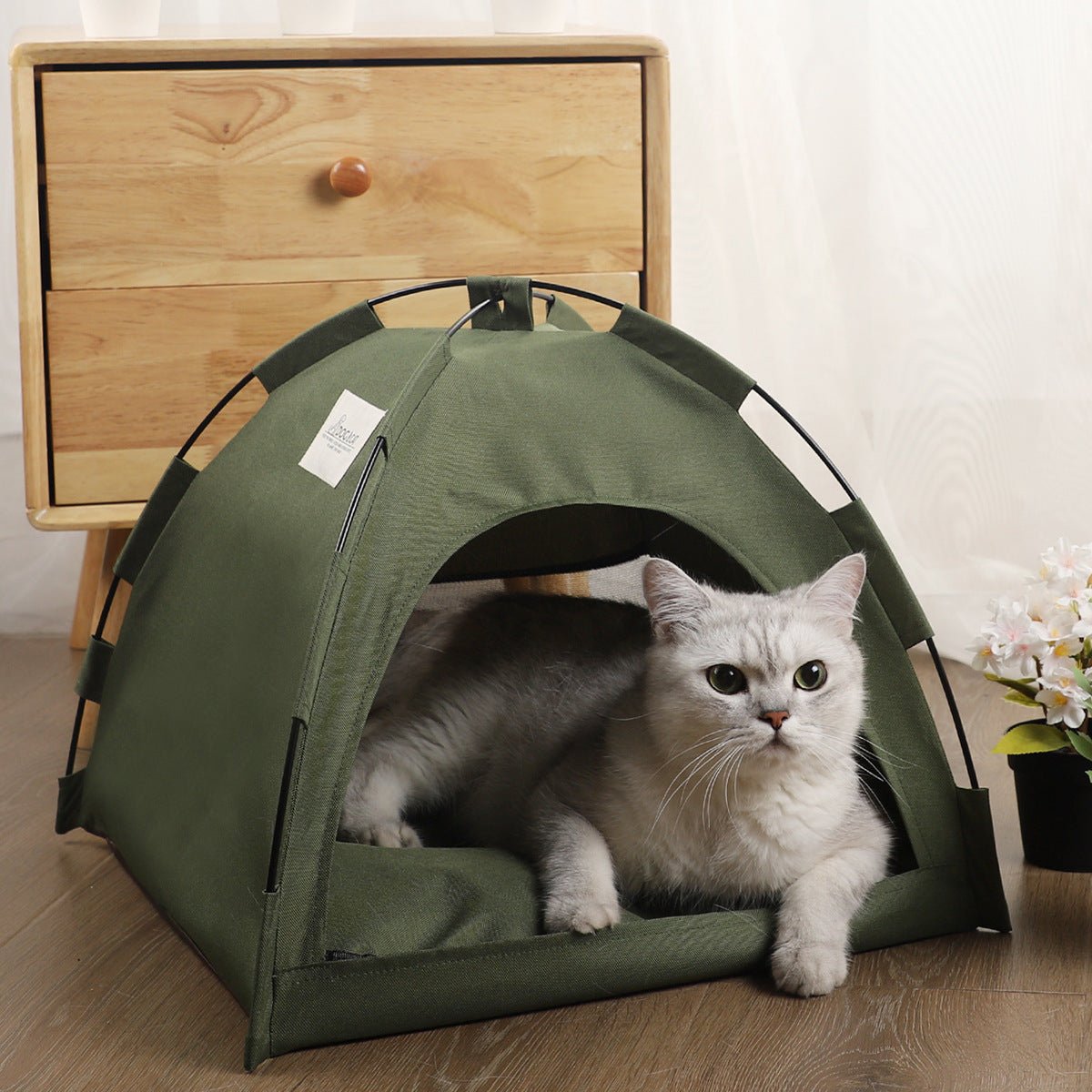 Wander-Wake-{{product_title}}-{{image_position}}