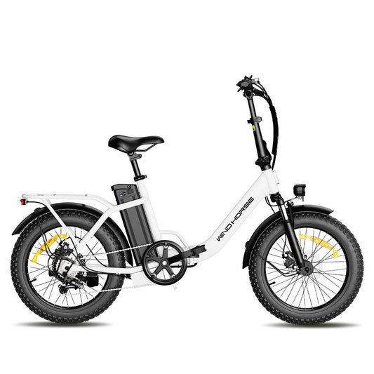WILDHORSE 720W Electric Bike - product image 1