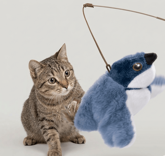 Wander-Wake-{{product_title}}-{{image_position}}