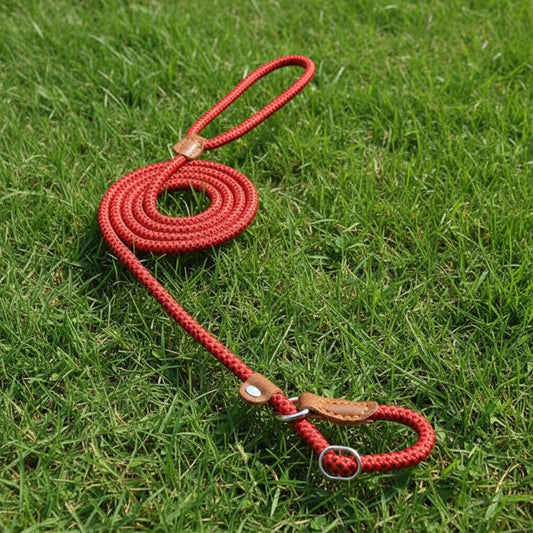 Wander & Wake™ Nylon Dog Collar & Leash Set | Adjustable Pet Walking Set - Wander & Wake