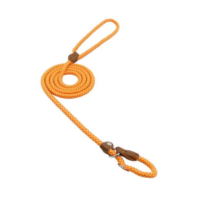 Wander-Wake-{{product_title}}-{{image_position}}