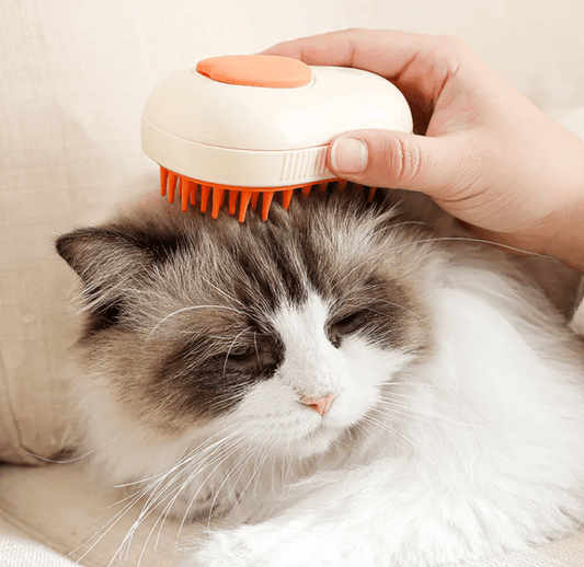 Wander-Wake-{{product_title}}-{{image_position}}