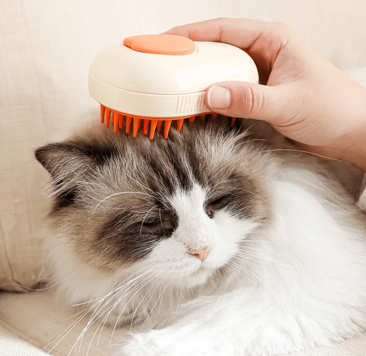 Wander-Wake-{{product_title}}-{{image_position}}