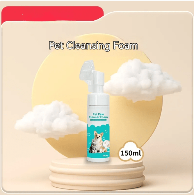 Wander-Wake-{{product_title}}-{{image_position}}