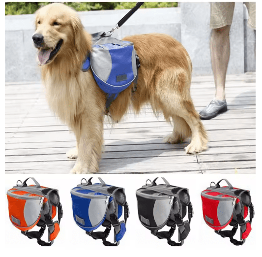 Wander-Wake-{{product_title}}-{{image_position}}