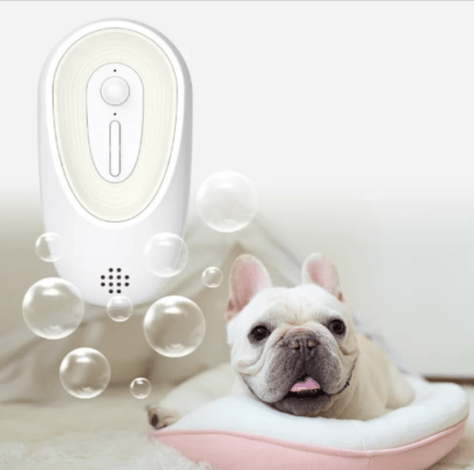 Wander & Wake Pet Odor Eliminator for Litter Boxes - Wander & Wake