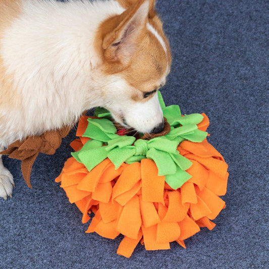 Wander-Wake-{{product_title}}-{{image_position}}