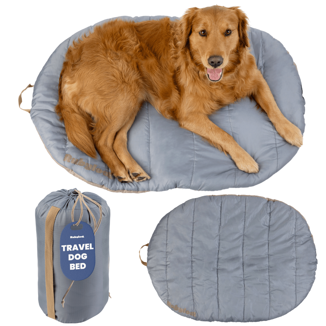 Wander-Wake-{{product_title}}-{{image_position}}