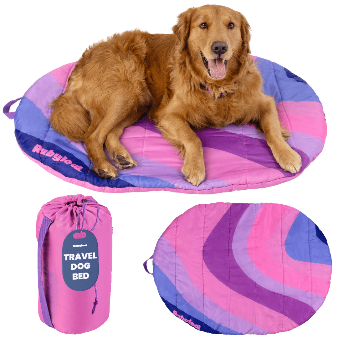 Wander-Wake-{{product_title}}-{{image_position}}