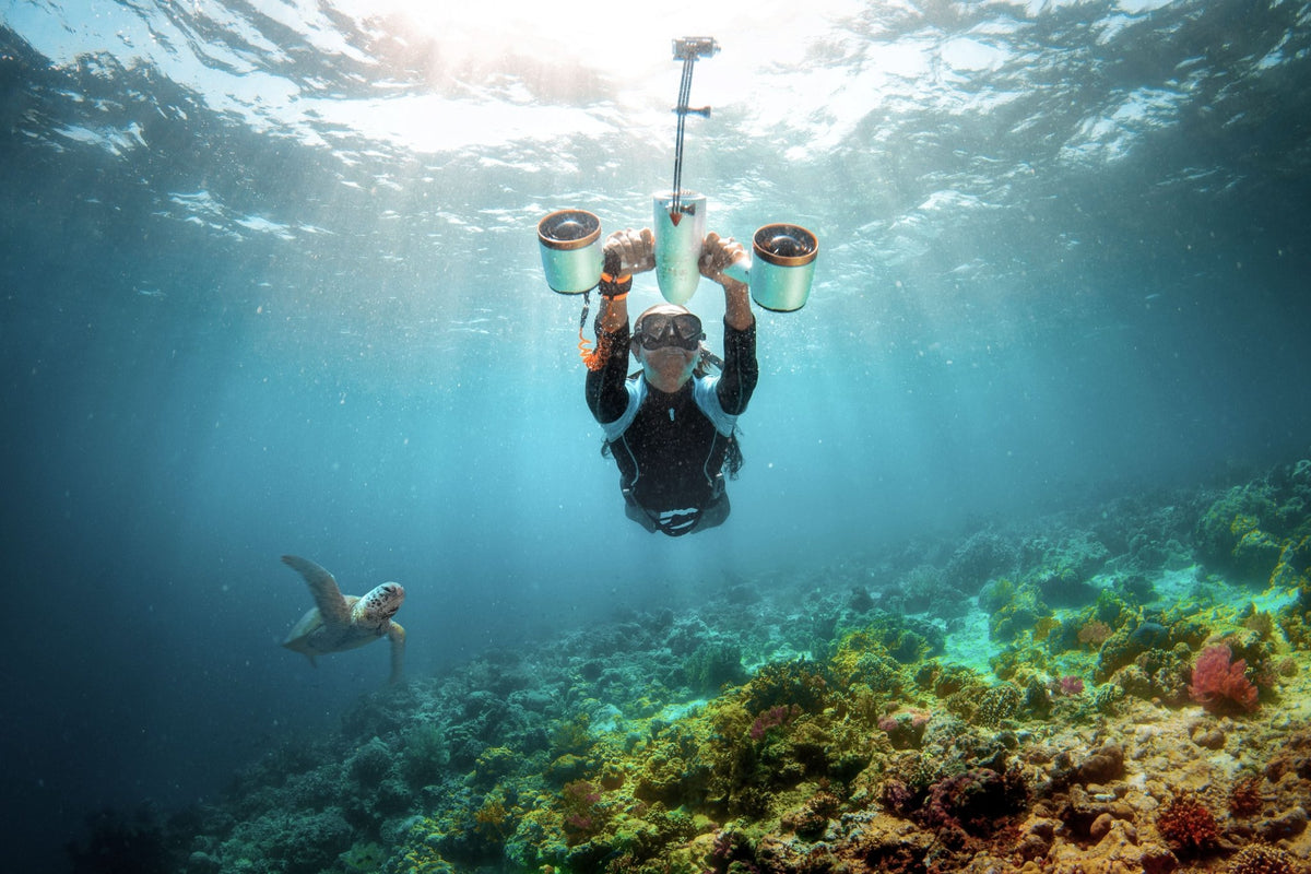 Wander-Wake-{{product_title}}-{{image_position}}