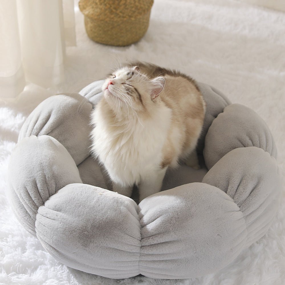 Wander-Wake-{{product_title}}-{{image_position}}