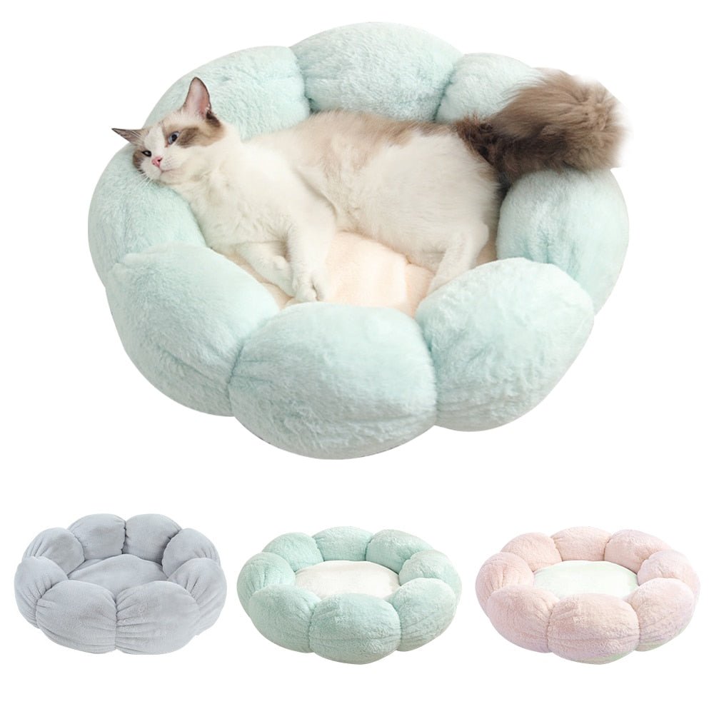 Wander-Wake-{{product_title}}-{{image_position}}