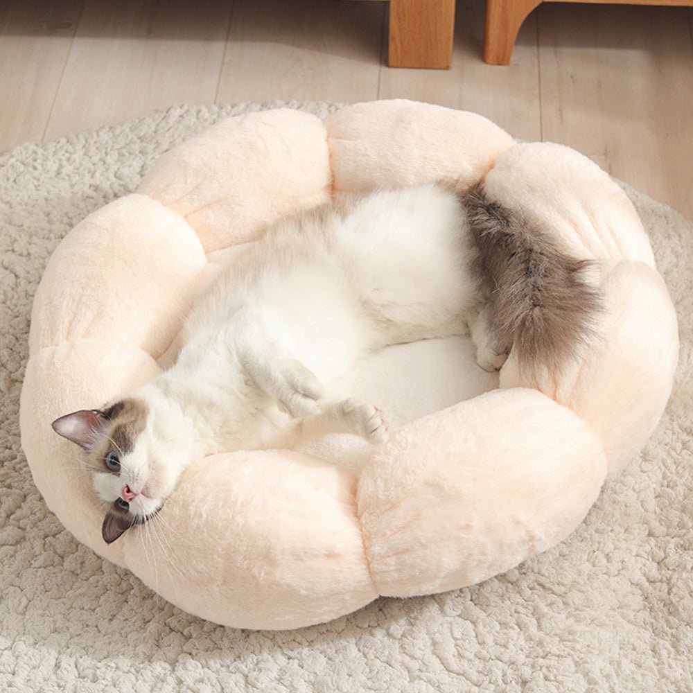 Wander-Wake-{{product_title}}-{{image_position}}