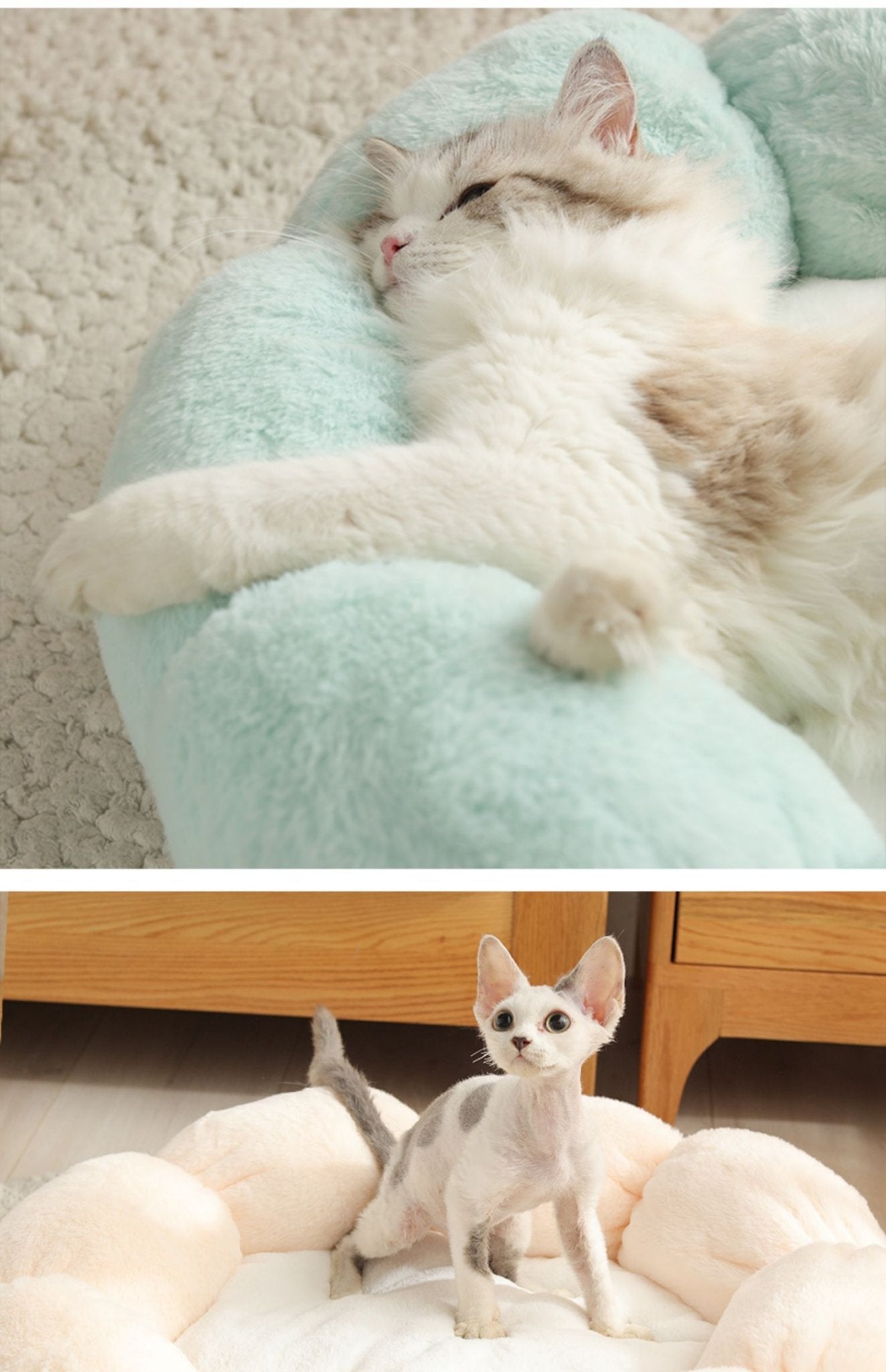 Wander-Wake-{{product_title}}-{{image_position}}