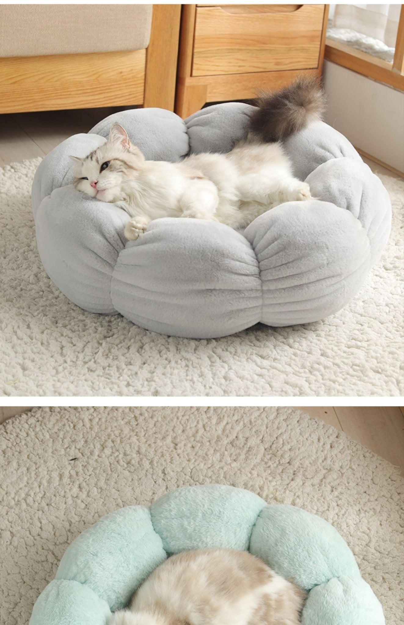 Wander-Wake-{{product_title}}-{{image_position}}