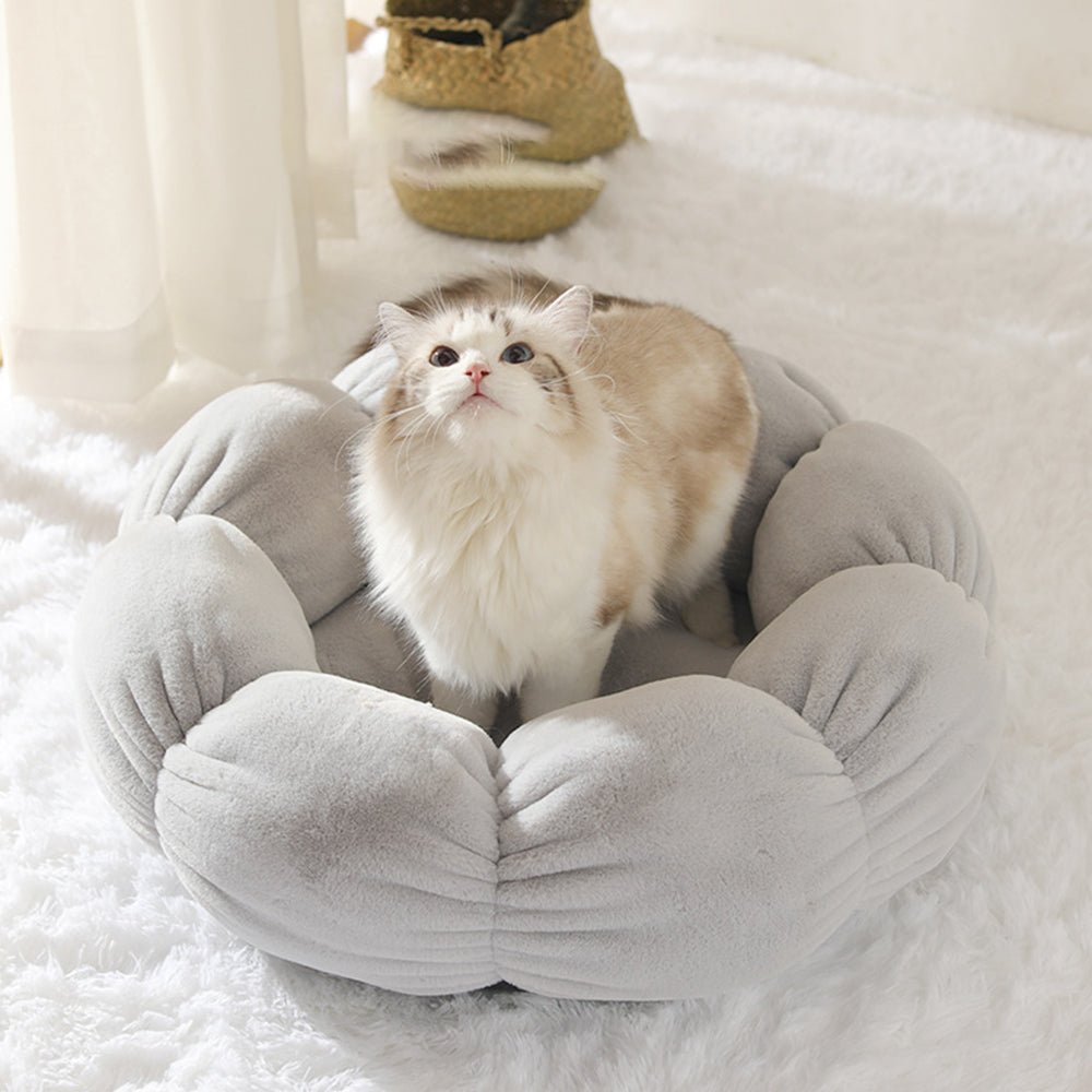 Wander-Wake-{{product_title}}-{{image_position}}