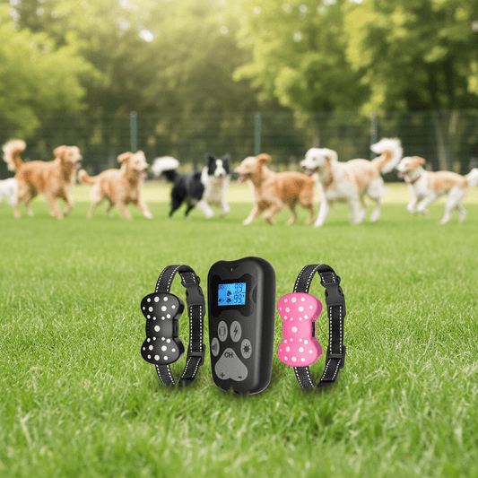 Wander & Wake™ Rechargeable Dog Training Collar with Remote | Waterproof Training System for 2 Dogs, 3000ft Range - Wander & Wake